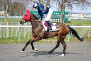 Prix Chantilly Capitale du Cheval